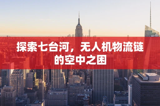 探索七台河，无人机物流链的空中之困