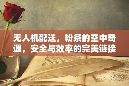 无人机配送，粉条的空中奇遇，安全与效率的完美链接？