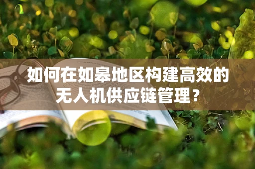 如何在如皋地区构建高效的无人机供应链管理？