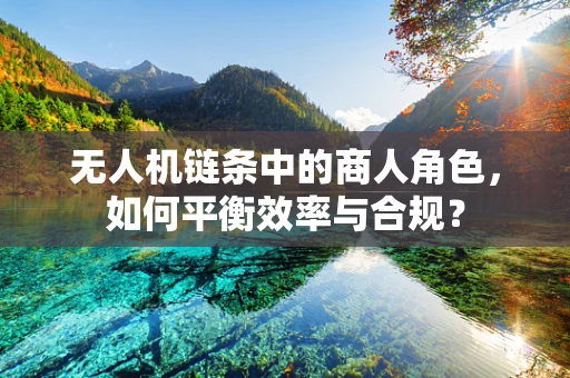 无人机链条中的商人角色，如何平衡效率与合规？