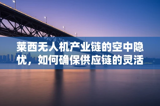 莱西无人机产业链的空中隐忧，如何确保供应链的灵活性与安全性？