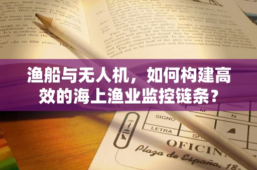 渔船与无人机，如何构建高效的海上渔业监控链条？