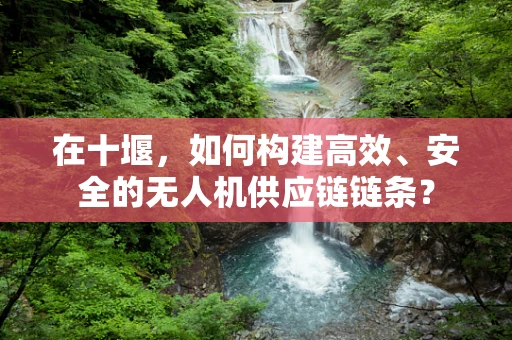 在十堰，如何构建高效、安全的无人机供应链链条？