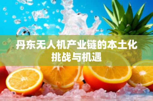 丹东无人机产业链的本土化挑战与机遇