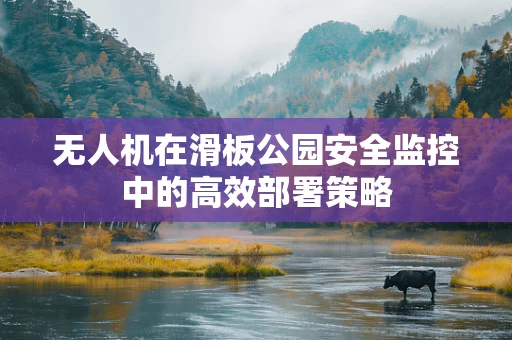 无人机在滑板公园安全监控中的高效部署策略