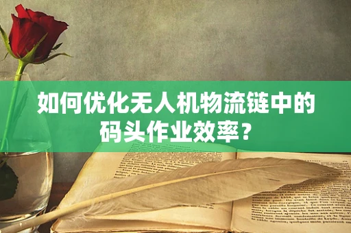 如何优化无人机物流链中的码头作业效率？