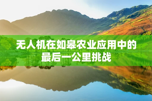 无人机在如皋农业应用中的最后一公里挑战