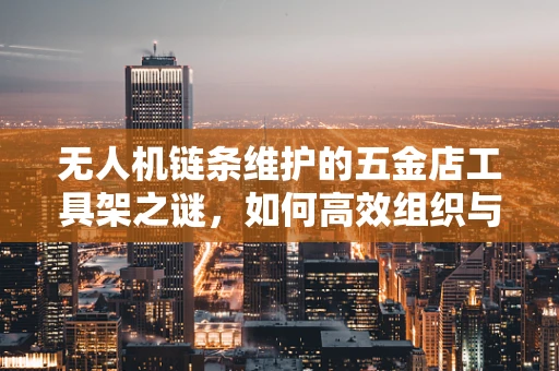无人机链条维护的五金店工具架之谜，如何高效组织与保养？