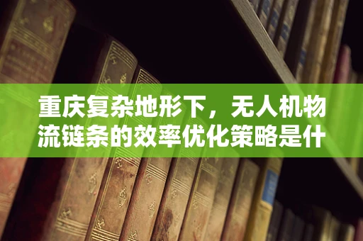 重庆复杂地形下，无人机物流链条的效率优化策略是什么？
