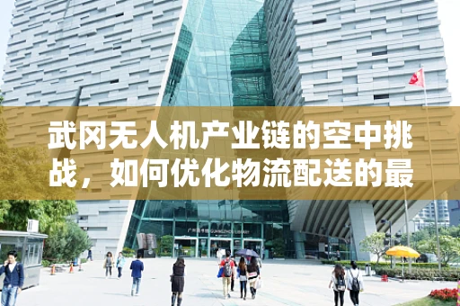 武冈无人机产业链的空中挑战，如何优化物流配送的最后一公里？