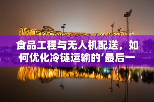 食品工程与无人机配送，如何优化冷链运输的‘最后一公里’？