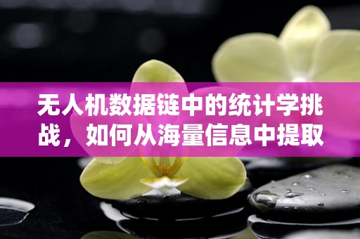 无人机数据链中的统计学挑战，如何从海量信息中提取有效决策？