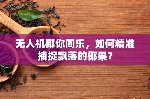 无人机椰你同乐，如何精准捕捉飘落的椰果？