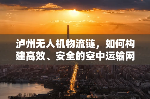 泸州无人机物流链，如何构建高效、安全的空中运输网络？