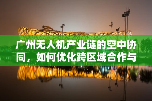 广州无人机产业链的空中协同，如何优化跨区域合作与技术创新？