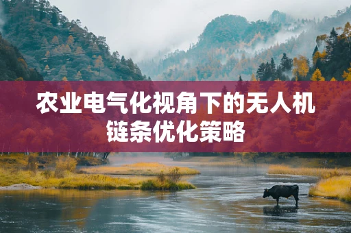 农业电气化视角下的无人机链条优化策略