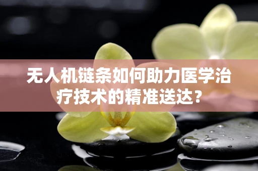 无人机链条如何助力医学治疗技术的精准送达？