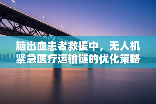 脑出血患者救援中，无人机紧急医疗运输链的优化策略