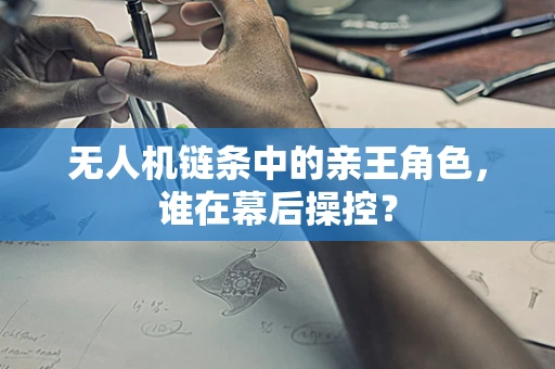无人机链条中的亲王角色，谁在幕后操控？