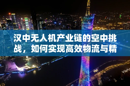 汉中无人机产业链的空中挑战，如何实现高效物流与精准农业的融合？