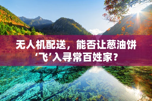 无人机配送，能否让葱油饼‘飞’入寻常百姓家？