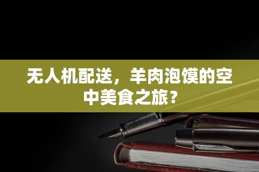 无人机配送，羊肉泡馍的空中美食之旅？