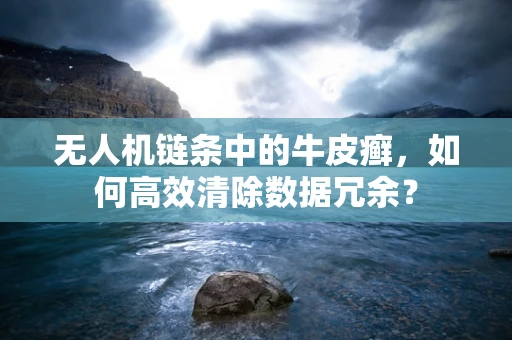无人机链条中的牛皮癣，如何高效清除数据冗余？