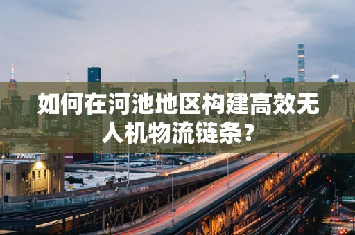 如何在河池地区构建高效无人机物流链条？