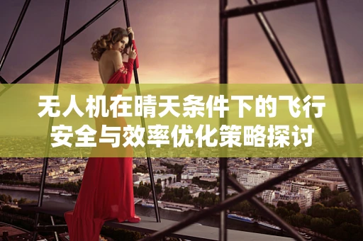 无人机在晴天条件下的飞行安全与效率优化策略探讨