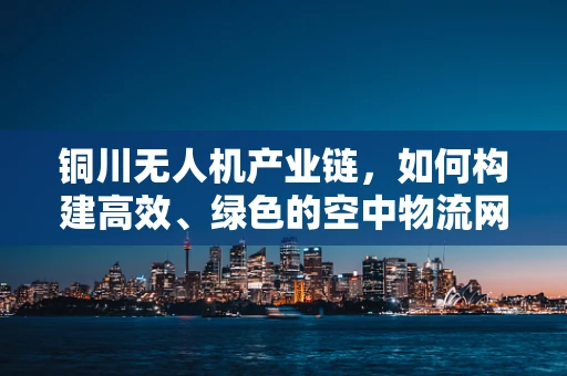 铜川无人机产业链，如何构建高效、绿色的空中物流网络？