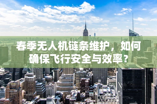 春季无人机链条维护，如何确保飞行安全与效率？