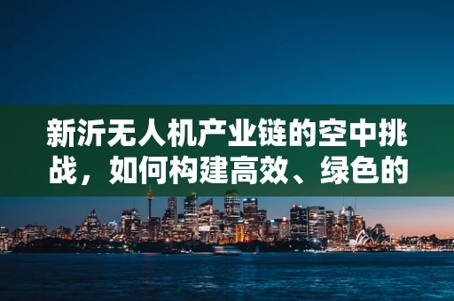 新沂无人机产业链的空中挑战，如何构建高效、绿色的飞行生态？