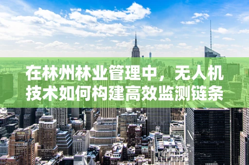 在林州林业管理中，无人机技术如何构建高效监测链条？