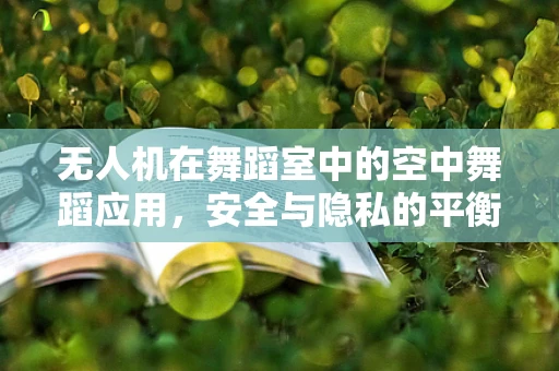 无人机在舞蹈室中的空中舞蹈应用，安全与隐私的平衡挑战