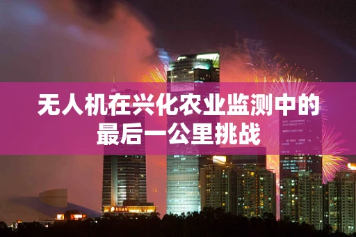 无人机在兴化农业监测中的最后一公里挑战