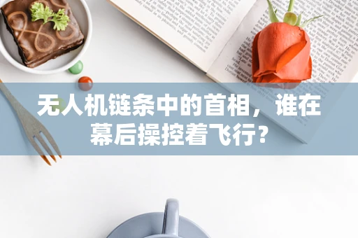 无人机链条中的首相，谁在幕后操控着飞行？
