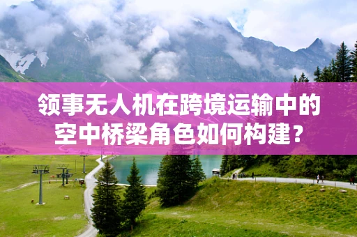 领事无人机在跨境运输中的空中桥梁角色如何构建？