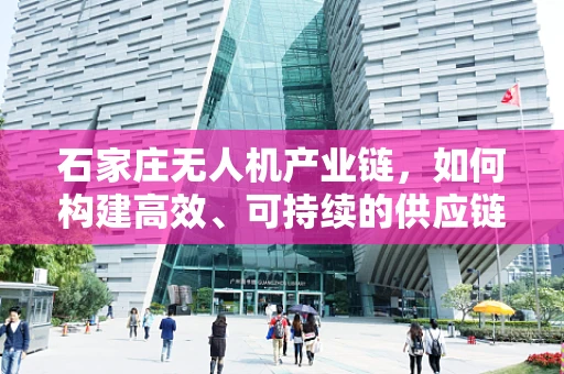 石家庄无人机产业链，如何构建高效、可持续的供应链网络？