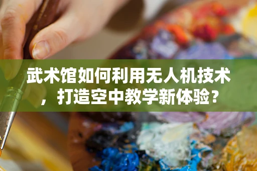 武术馆如何利用无人机技术，打造空中教学新体验？