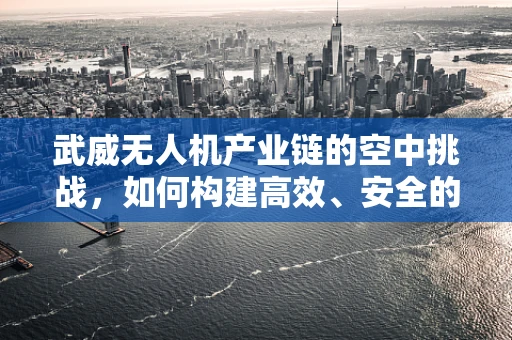 武威无人机产业链的空中挑战，如何构建高效、安全的飞行网络？