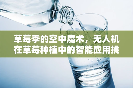 草莓季的空中魔术，无人机在草莓种植中的智能应用挑战？