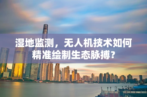 湿地监测，无人机技术如何精准绘制生态脉搏？