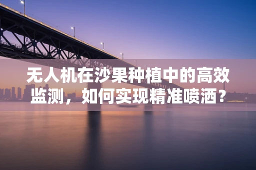 无人机在沙果种植中的高效监测，如何实现精准喷洒？