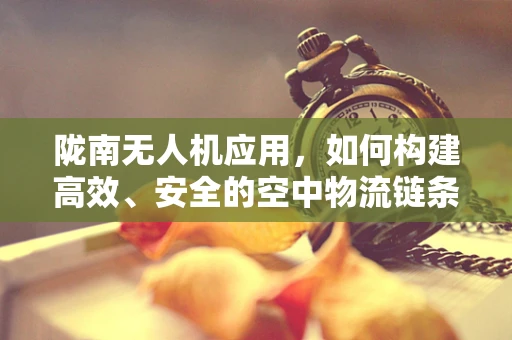 陇南无人机应用，如何构建高效、安全的空中物流链条？