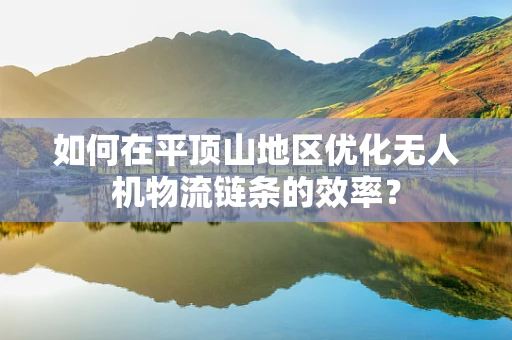 如何在平顶山地区优化无人机物流链条的效率？