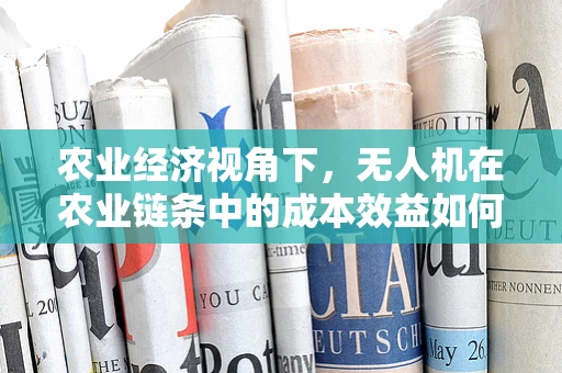 农业经济视角下，无人机在农业链条中的成本效益如何最大化？