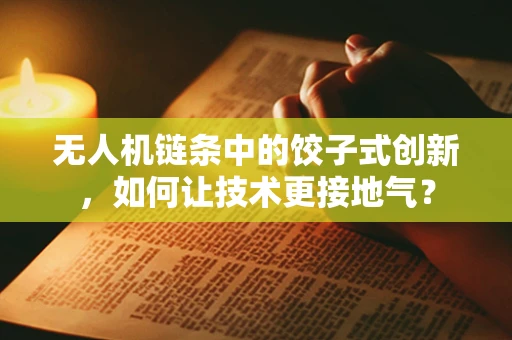 无人机链条中的饺子式创新，如何让技术更接地气？
