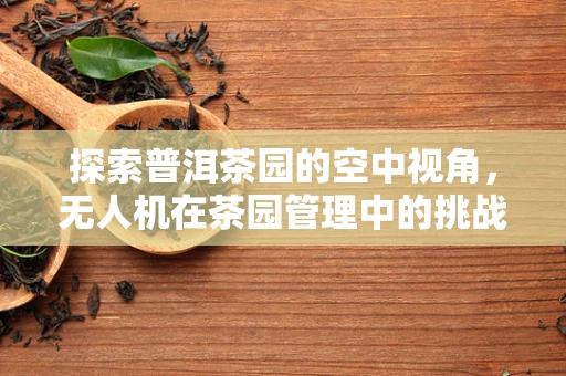 探索普洱茶园的空中视角，无人机在茶园管理中的挑战与机遇