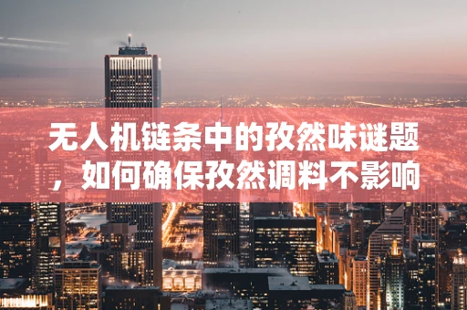 无人机链条中的孜然味谜题，如何确保孜然调料不影响飞行安全？