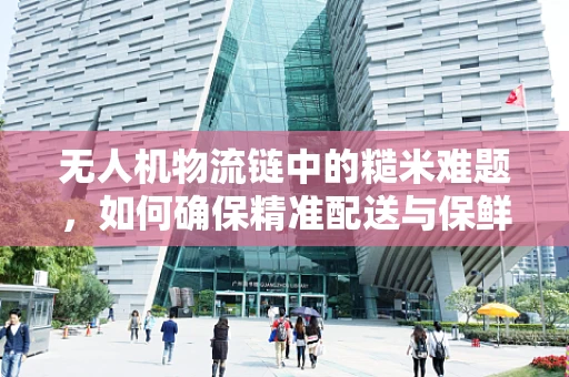 无人机物流链中的糙米难题，如何确保精准配送与保鲜？